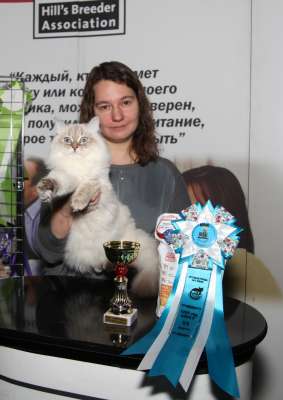 �������� ����� '������� ���-�����' 30 ������-1 ������� 2013., WCF-����� 2674